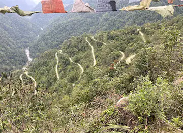 Nye Zigzag View Point