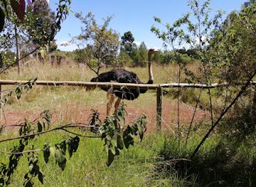 kenya/elgeyo-escarpment/attraction/eldoret-nature-culture-centre