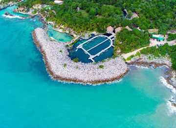 mexico/playa-del-carmen/punta-esmeralda/attraction/delphinus-riviera-maya