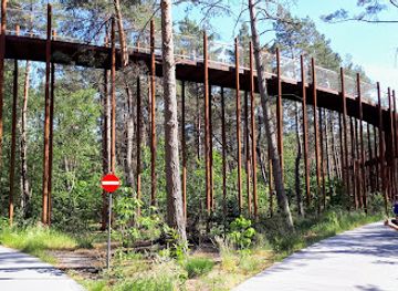 belgium/limburg/attraction/cycling-through-the-trees