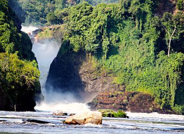 uganda/rwenzori-mountains-national-park/attraction/ovacado-adventures