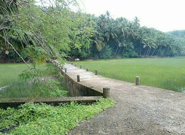 india/tarkarli/attraction/gadedhav-jetty