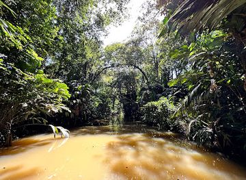 costa-rica/tortuguero-national-park/attraction/sea-turtle-conservancy-visitor-s-center