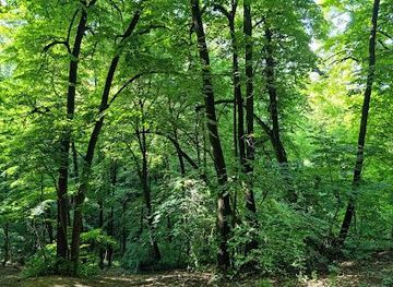 serbia/pancevo/attraction/park-kosutnjak