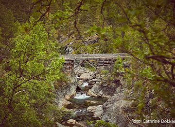 norway/oppland/attraction/veo-bridge