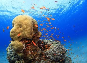 jordan/aqaba/attraction/aqua-star