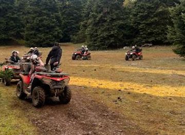 greece/delphi/attraction/parnassos-experience