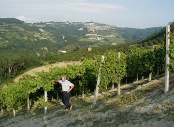 italy/langhe/attraction/azienda-agricola-giribaldi