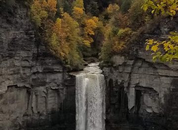 new-york/ithaca/attraction/cayuga-nature-center