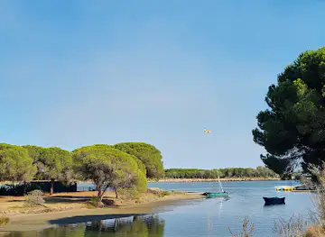BOIS DE L'ESPIGUETTE (Les Baronnets)