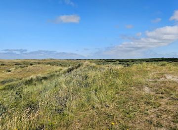 netherlands/wadden-islands/attraction/dark-sky-park-de-boschplaat
