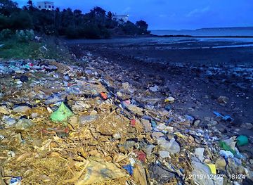 madagascar/diego-suarez/ramena-beach/attraction/tropical-garden