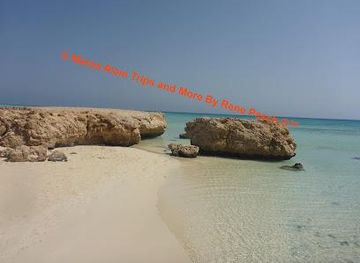 egypt/marsa-alam/attraction/marsa-alam-trips-and-more-by-rene-pesch