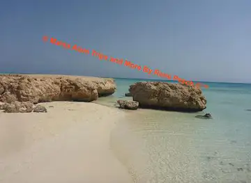 Marsa Alam Trips and More by Rene Pesch