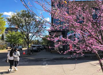tennessee/nashville/attraction/i-believe-in-nashville-mural