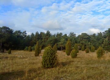 sweden/gotaland/attraction/damba-natur-och-kulturstig