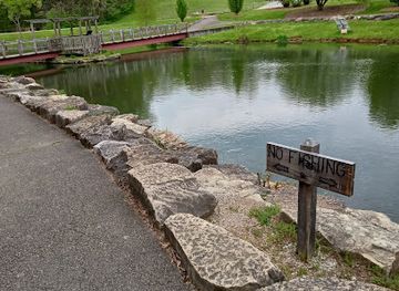 kentucky/bernheim-arboretum-and-research-forest/attraction/forest-giant-little-nis