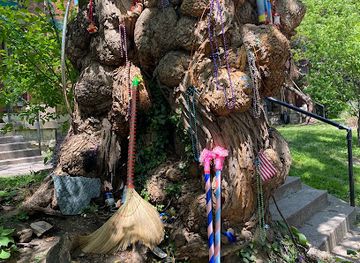 kentucky/louisville/attraction/the-witches-tree