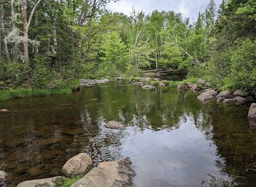 maine/rangeley-lake/attraction/south-bog-conservation-area
