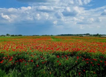 hungary/kiskunsag/attraction/kiskunsag-national-park
