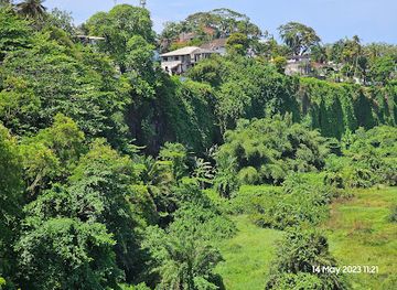 liberia/montserrado-county/attraction/joseph-j-roberts-monument