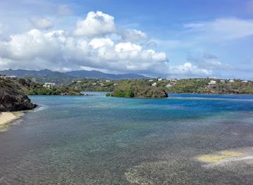 grenada/seven-sisters-falls/attraction/bird-island