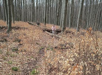 hungary/matra-mountains/attraction/pezso-forras