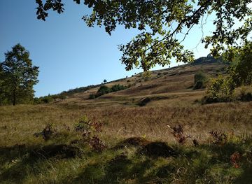 romania/maramures/attraction/padurea-craiasca