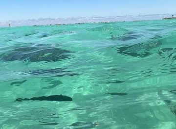 maldives/kaafu-atoll/attraction/snorkling-point