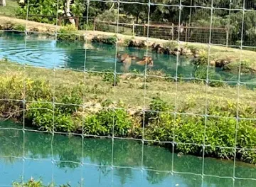 Tennessee Safari Park