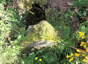 united-kingdom/north-east-england/attraction/shadens-hill