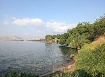 israel/tiberias/attraction/ein-eyov-waterfall