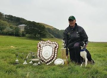 ireland/killarney/attraction/kells-sheepdogs-ring-of-kerry