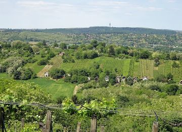 hungary/zalaegerszeg/attraction/zalaegerszeg-teteje