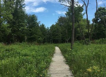 ohio/maumee-valley/attraction/irwin-prairie-state-nature-preserve