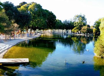 spain/murcia/attraction/fofo-park