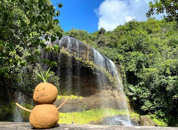 palau/tobi/attraction/ngardmau-waterfalls