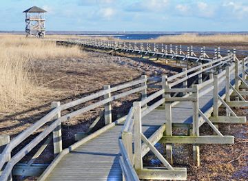 latvia/liepaja/attraction/birdwatch-tower