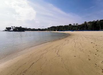 singapore/bukit-timah-nature-reserve/attraction/tanjong-beach