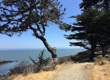 california/redwood-national-and-state-parks/attraction/seal-point-park
