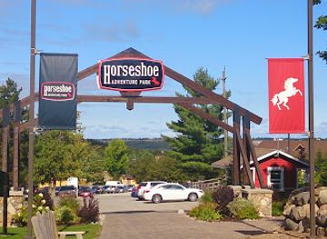 canada/golden-horseshoe/attraction/treetop-trekking-barrie-at-horseshoe-valley