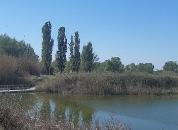 spain/lleida/attraction/aiguamolls-de-rufea-lleida