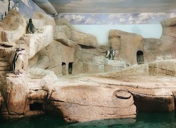 cyprus/governor-s-beach/attraction/ocean-aquarium