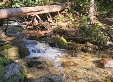 montana/bitterroot-national-forest/attraction/coyote-coulee-trailhead