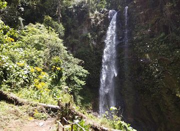 panama/david/attraction/the-lost-waterfalls-las-tres-cascadas