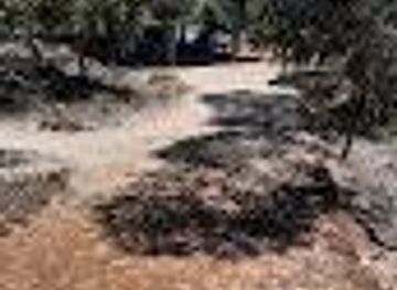 australia/kangaroo-island/attraction/bales-bay-picnic-area