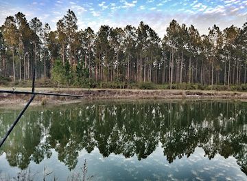 florida/suwannee-river/attraction/suwannee-river-eco-lodge