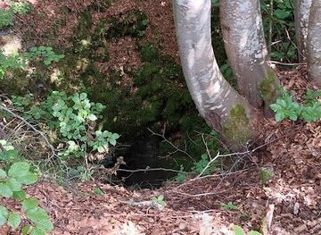 romania/apuseni-mountains/attraction/avenul-poieni