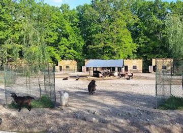 romania/ramnicu-valcea/attraction/zoo-pitesti