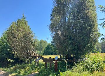 lithuania/aukstaitija-national-park/attraction/obelu-rago-kadagiai